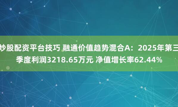 炒股配资平台技巧 融通价值趋势混合A:2025年第三季度利润3218.65万元 净值增长率62.44%