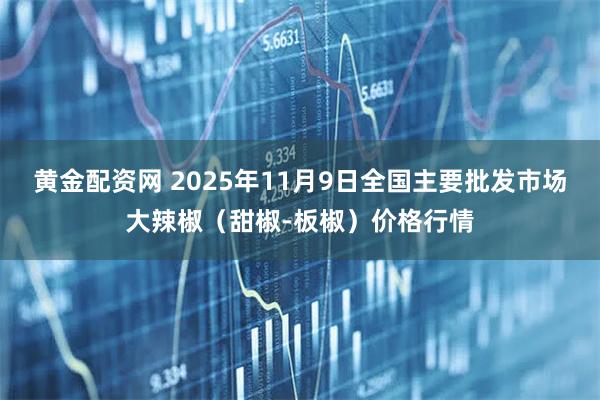 黄金配资网 2025年11月9日全国主要批发市场大辣椒(甜椒-板椒)价格行情