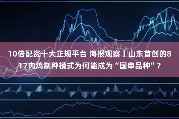 10倍配资十大正规平台 海报观察丨山东首创的817肉鸡制种模式为何能成为“国审品种”?